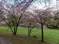 149 PARC ORIENTAL DE MAULEVIER MAINE ET LOIRE 2016 N0_000019